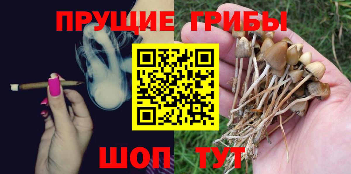 Каспийск  Псилоцибиновые грибы ЛСД  где можно купить   Вход с VPN 